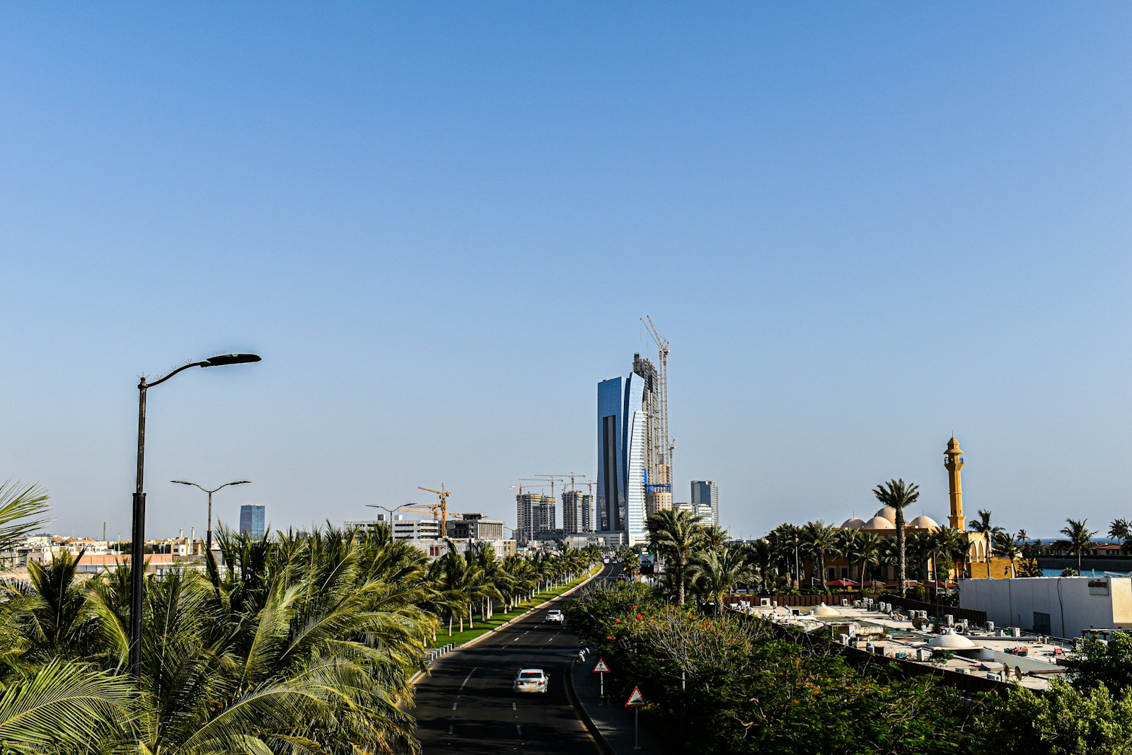 TreeLine للتجارة والمقاولات