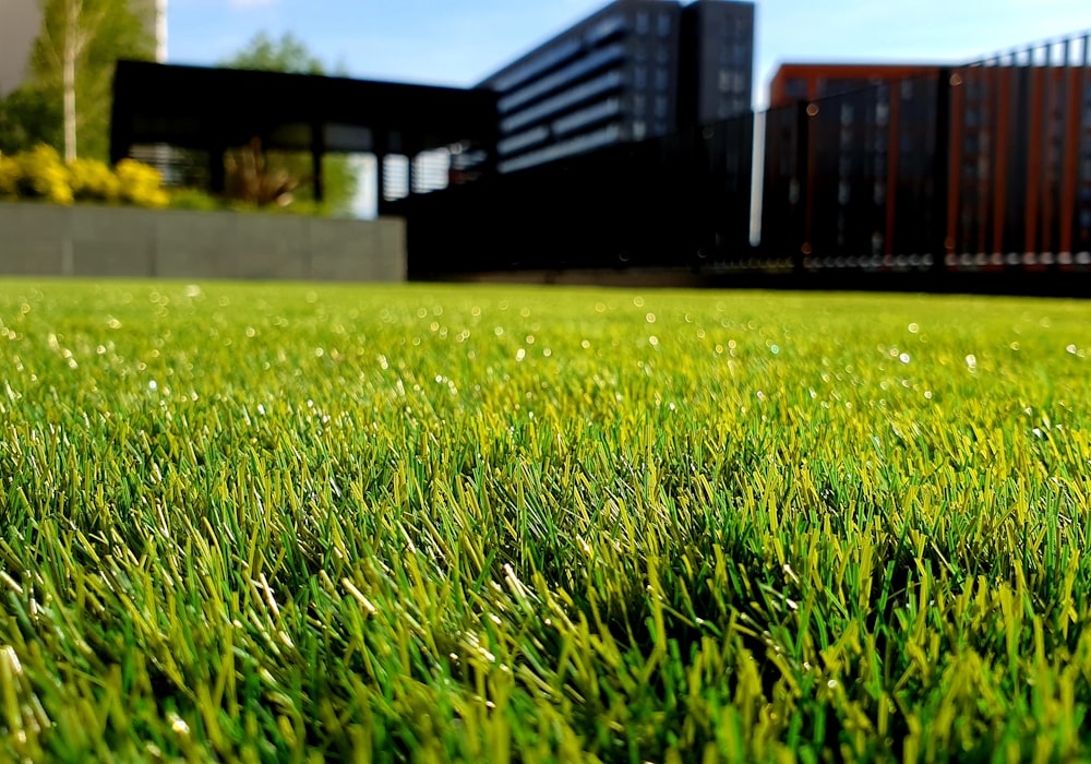 العشب الصناعي