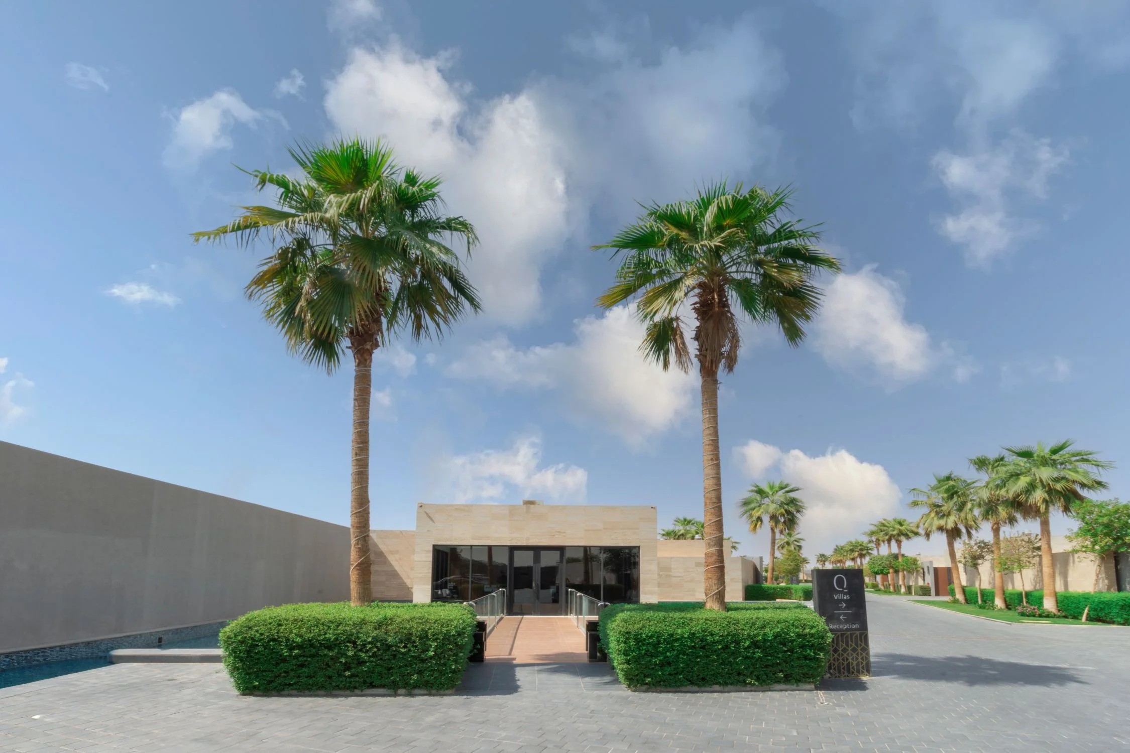 زراعة النخيل والأشجار والورود