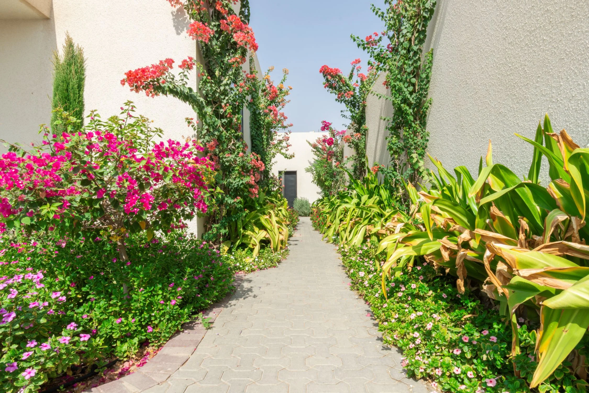 ديوانية الرمال